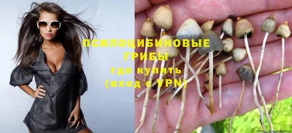 ГАЛЛЮЦИНОГЕННЫЕ ГРИБЫ Алексин