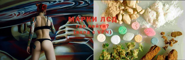 Альфа ПВП Алзамай