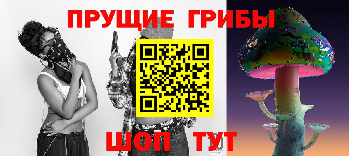 Всеволожск  Галлюциногенные грибы мицелий  Вход с VPN 