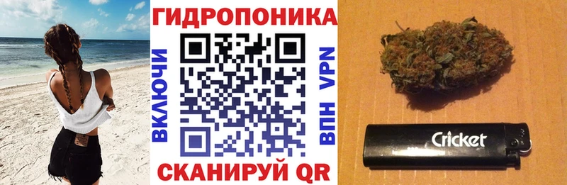 mega ONION  Всеволожск  Марихуана конопля  даркнет сайт 